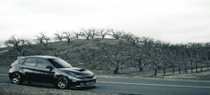 1017526 564217843617316 211641279 n